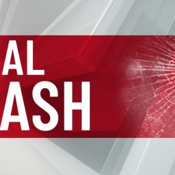 Image for 1 Killed Following Wrong-Way Car Accident in South Houston post